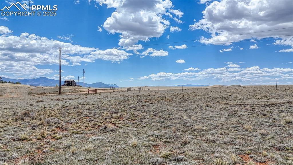 Image 11 of 20: Yard