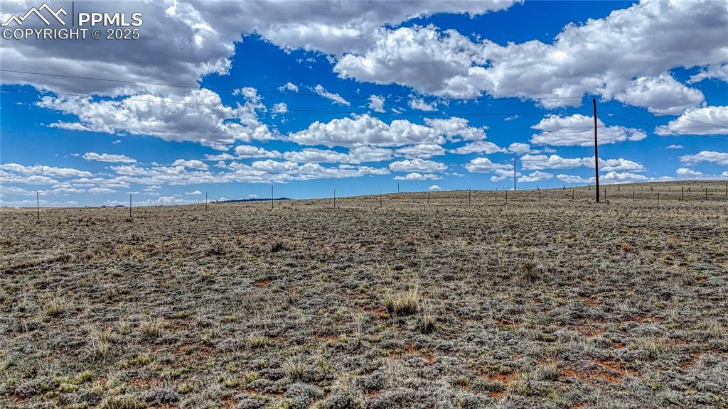 Image 16 of 20: Yard