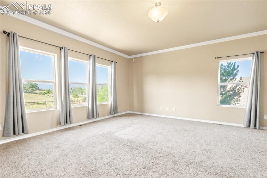 Image 12 of 34: Other