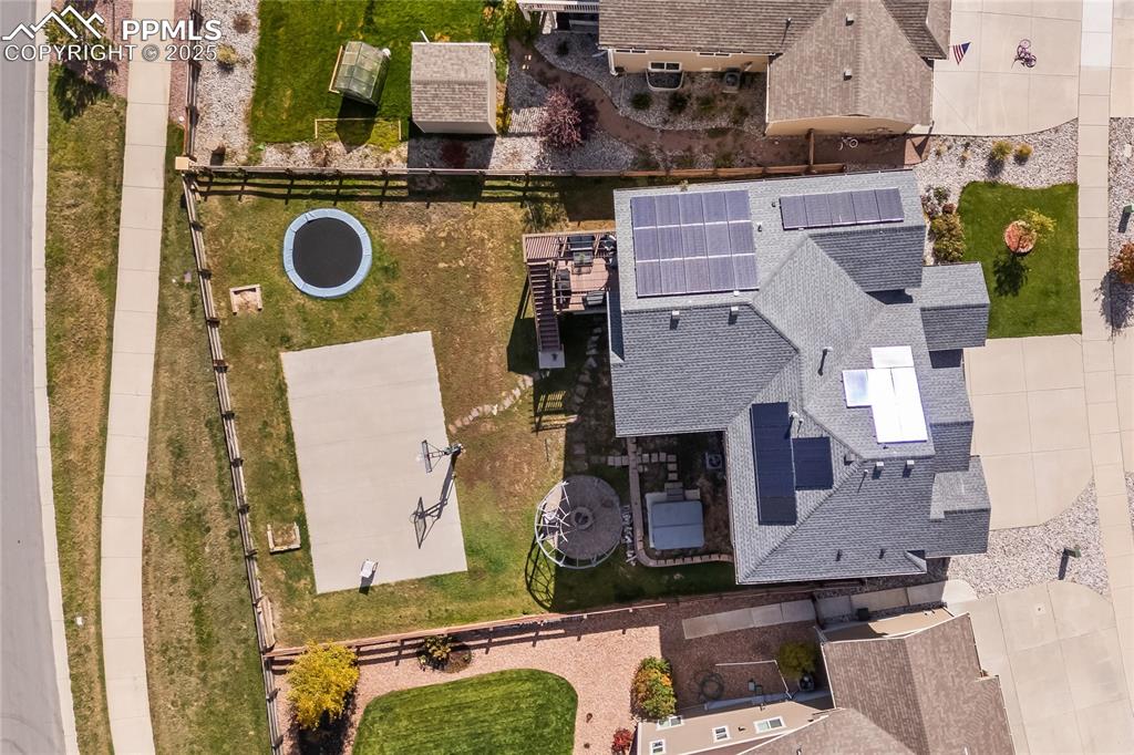 Image 48 of 48: Bird