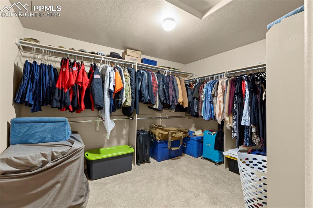 Image 17 of 27: Spacious closet featuring carpet flooring