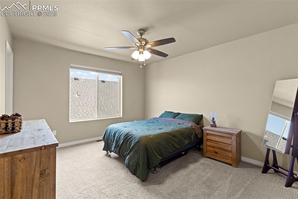 Image 24 of 27: Bedroom with multiple windows, light carpet, and ceiling fan