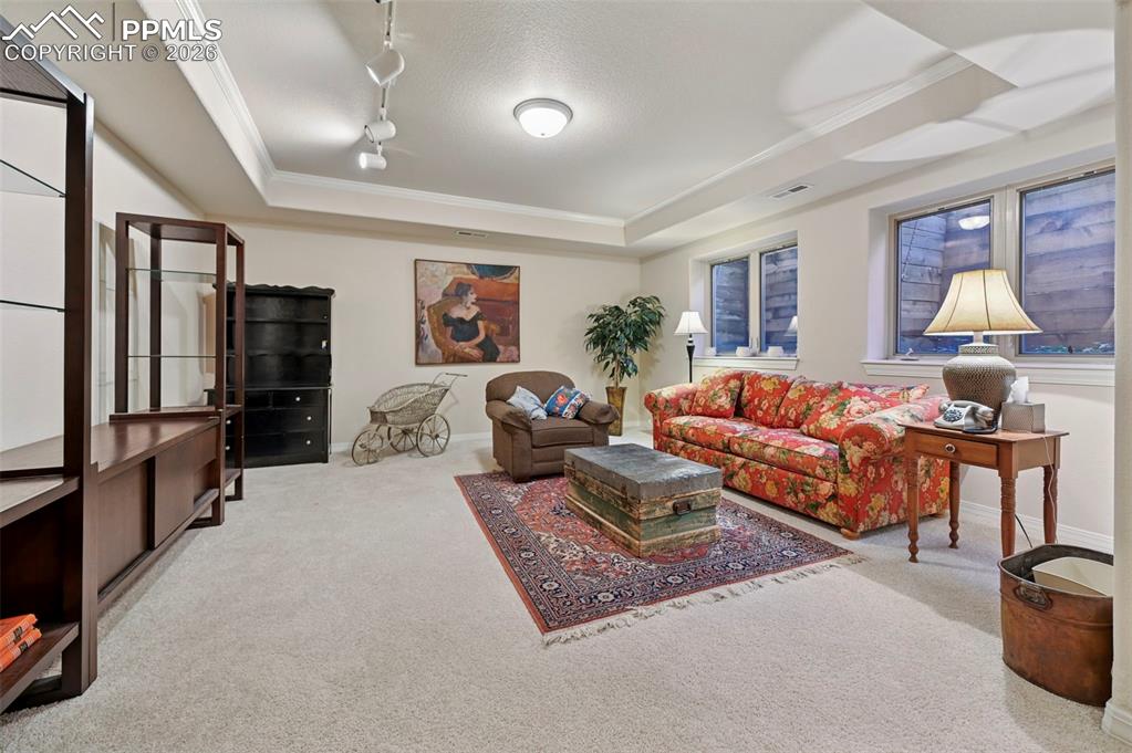 Image 26 of 45: Family Room in the Basement