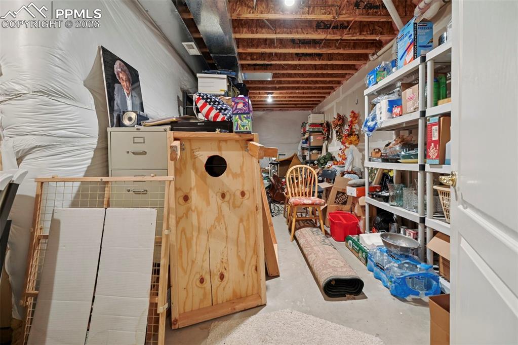 Image 30 of 45: Storage in the Basement