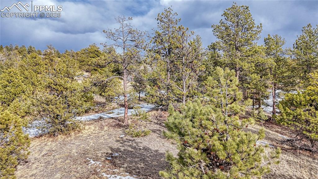 Image 10 of 31: Other