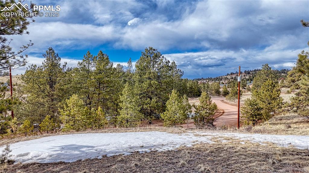 Image 12 of 31: Yard