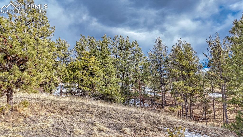 Image 15 of 31: Other