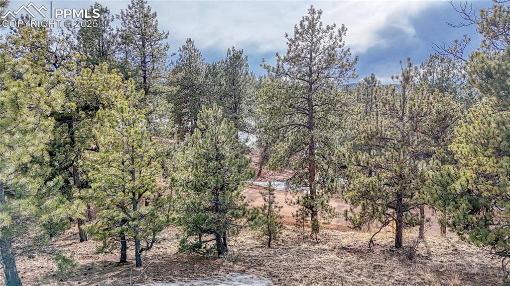 Image 16 of 31: Other