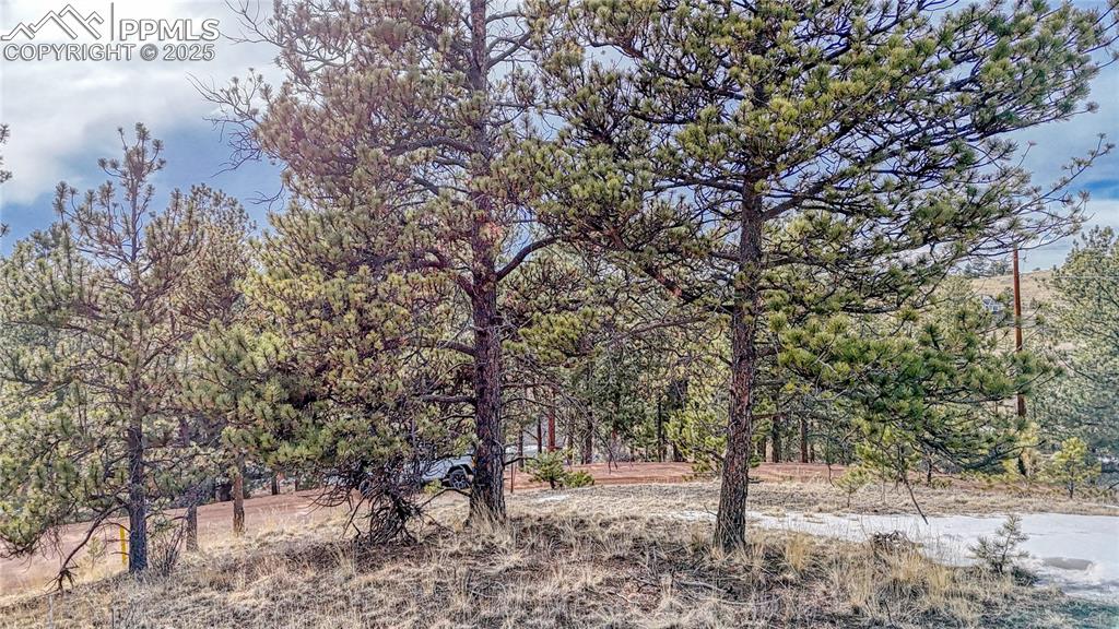 Image 18 of 31: Other