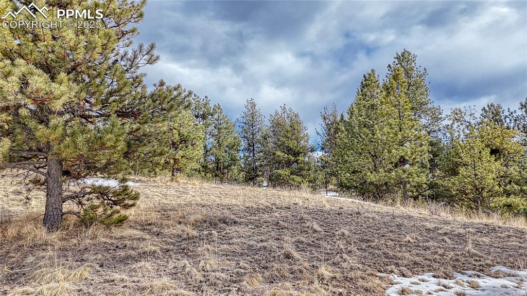 Image 19 of 31: Other