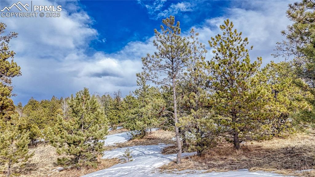 Image 23 of 31: Other