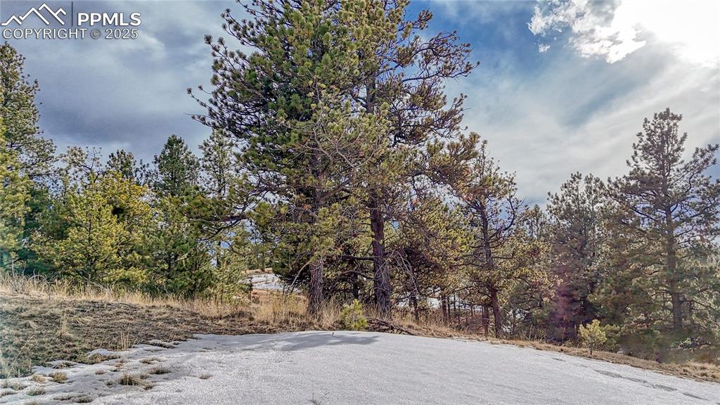 Image 24 of 31: Community