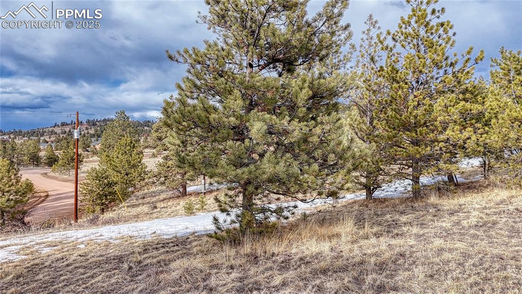 Image 30 of 31: Other