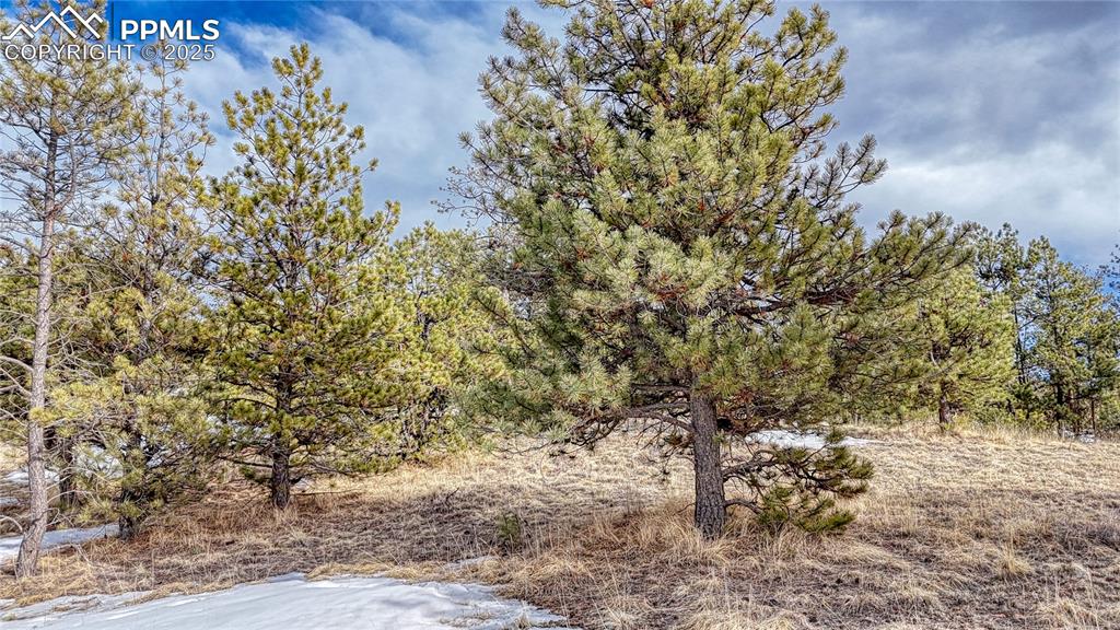 Image 5 of 31: Other