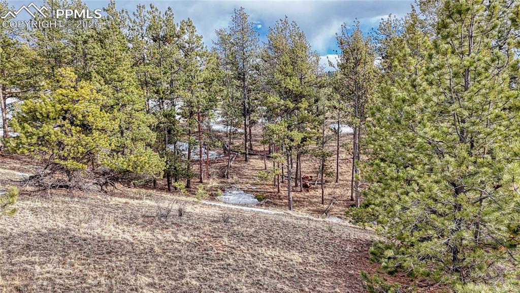 Image 6 of 31: Other