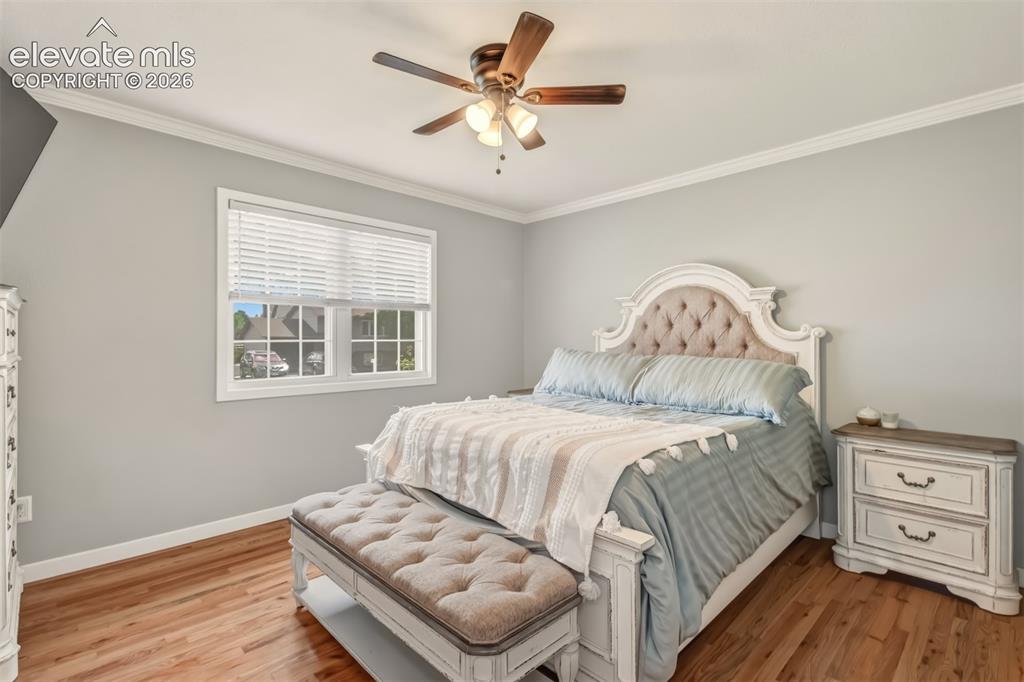 Image 12 of 31: Master Bedroom