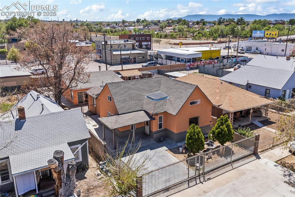 Image 29 of 36: Bird