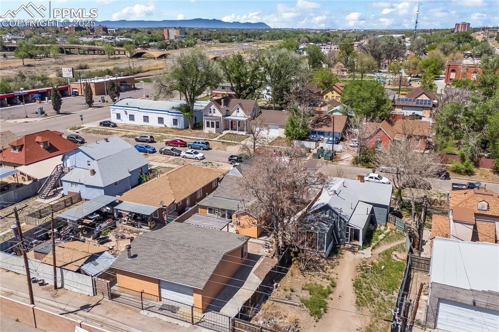 Image 33 of 36: Bird