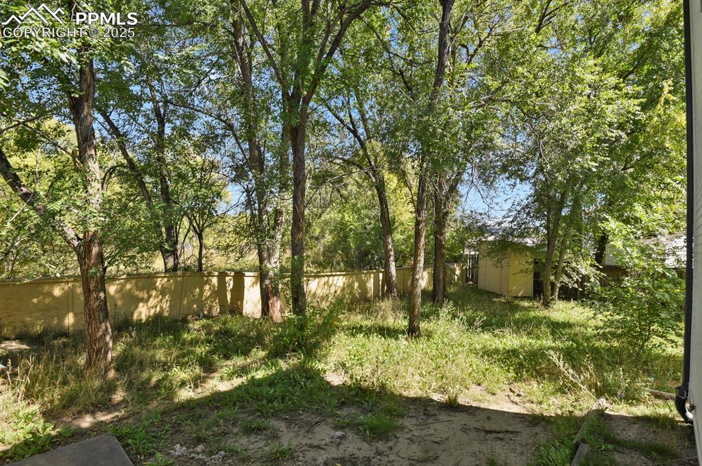 Image 29 of 30: Yard