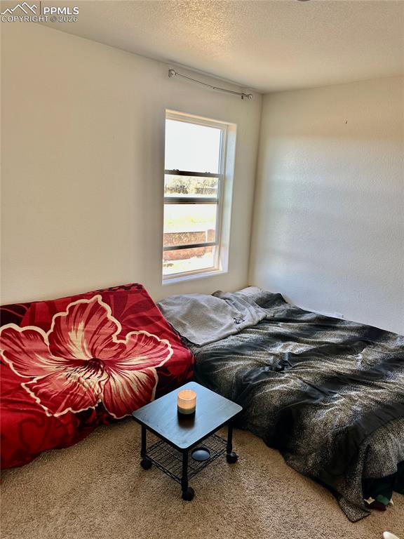 Image 13 of 17: Bedroom with a textured ceiling and carpet floors
