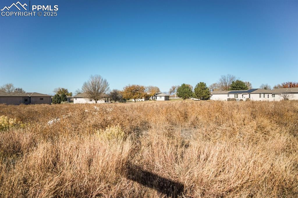 Image 8 of 8: View of yard