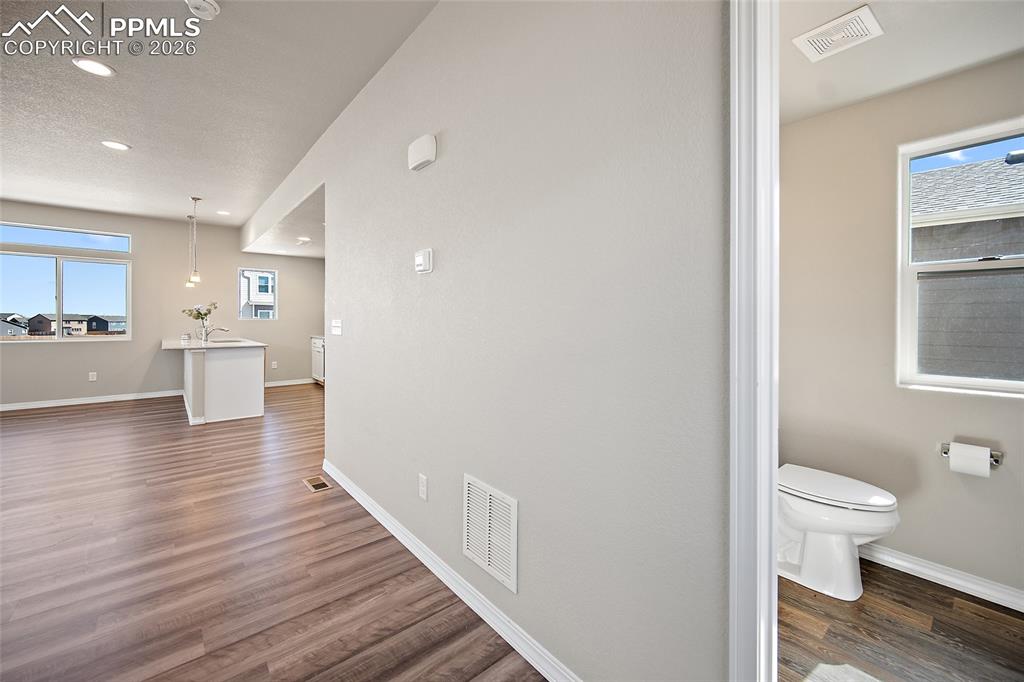 Image 5 of 35: Other