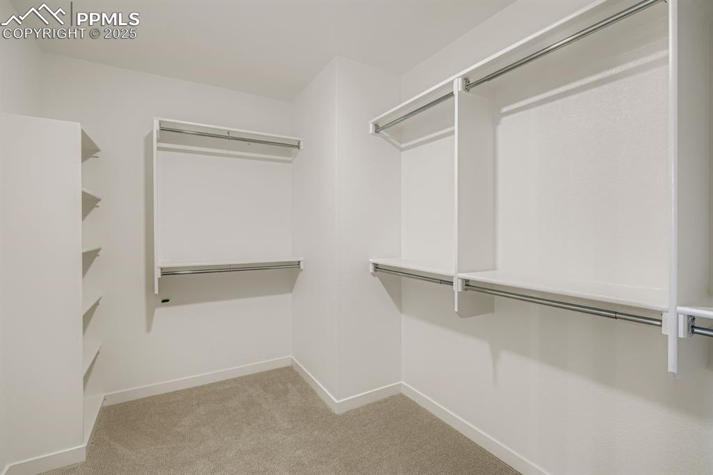 Image 17 of 28: Walk in closet featuring light carpet