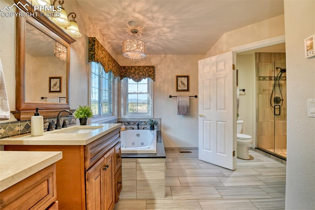 Image 31 of 44: Bathroom with vanity, a jetted tub, a chandelier, a stall shower, and a tex