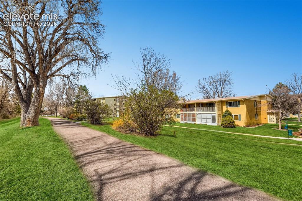 Image 13 of 27: Welcoming tree-lined approach with mature specimen trees casting dappled sh