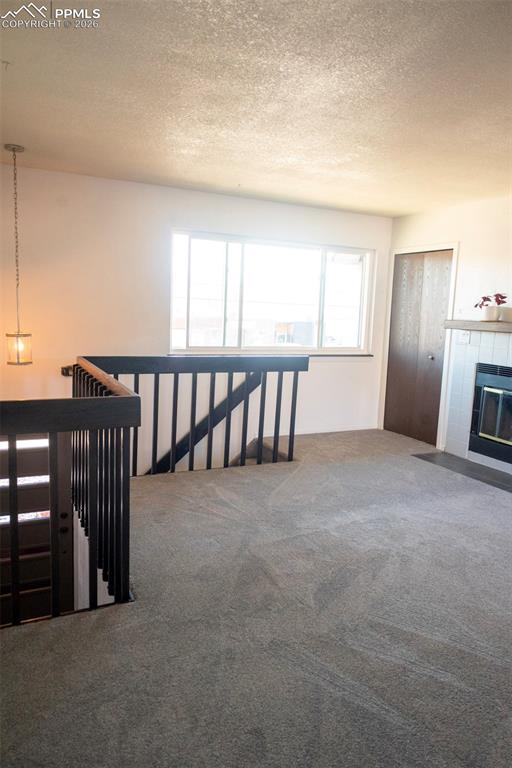 Image 5 of 19: Other