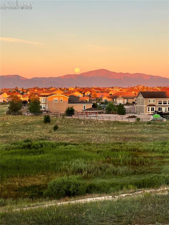 Image 45 of 50: View from back yard