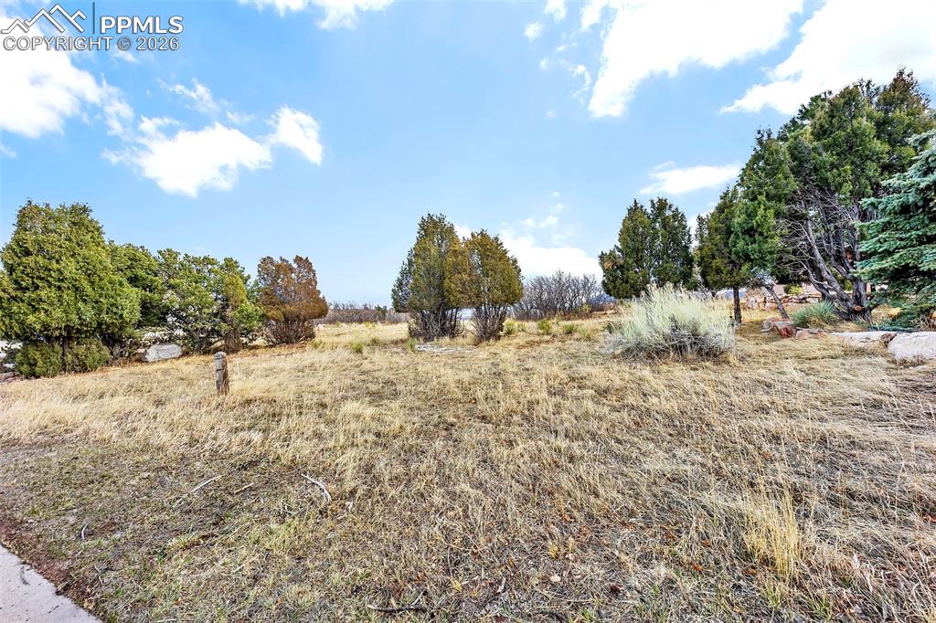 Image 14 of 16: View of yard