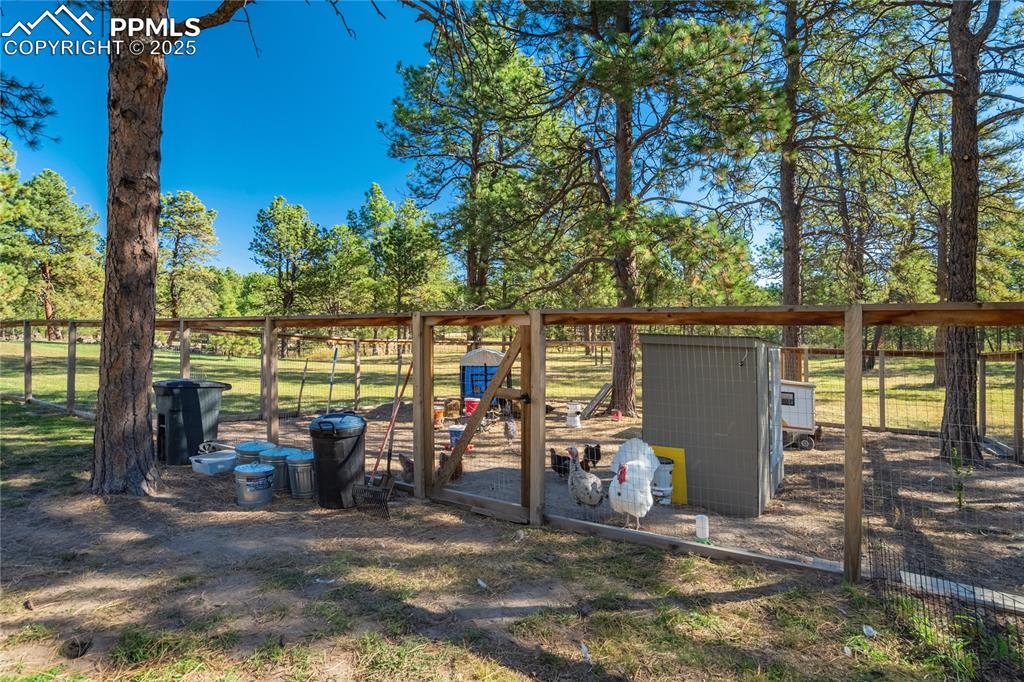 Image 44 of 50: Yard