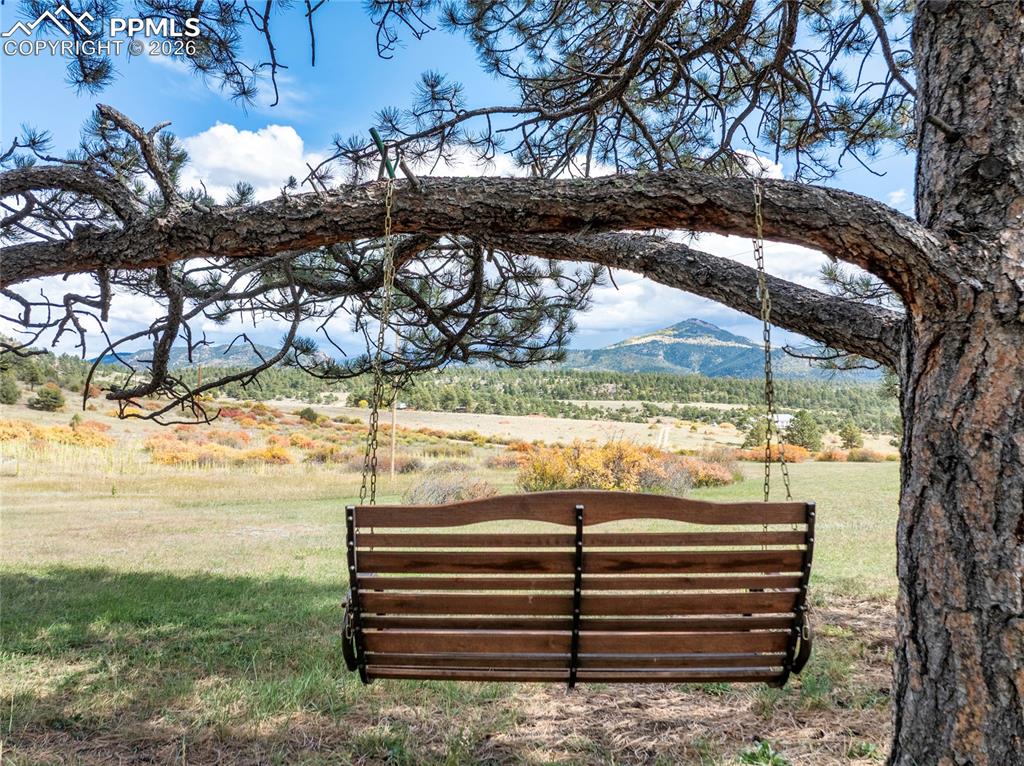 Image 26 of 49: Yard