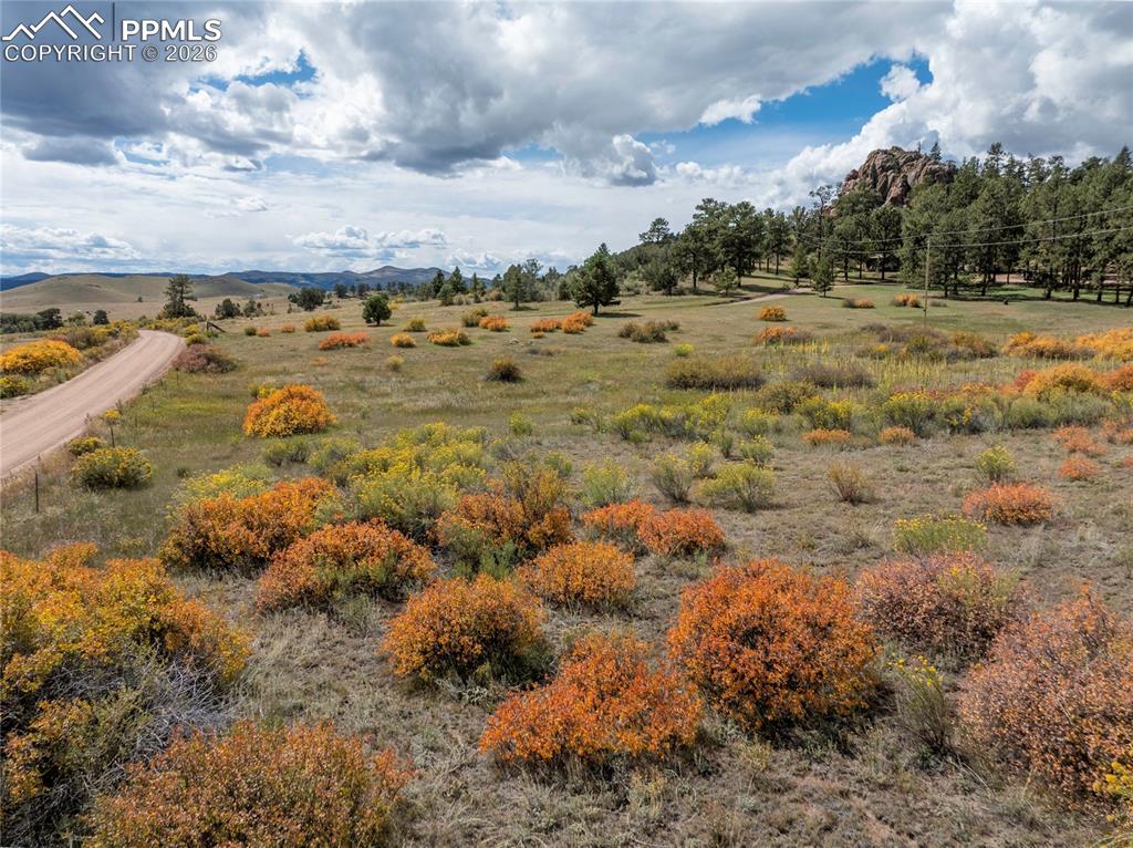 Image 41 of 49: Grazing field