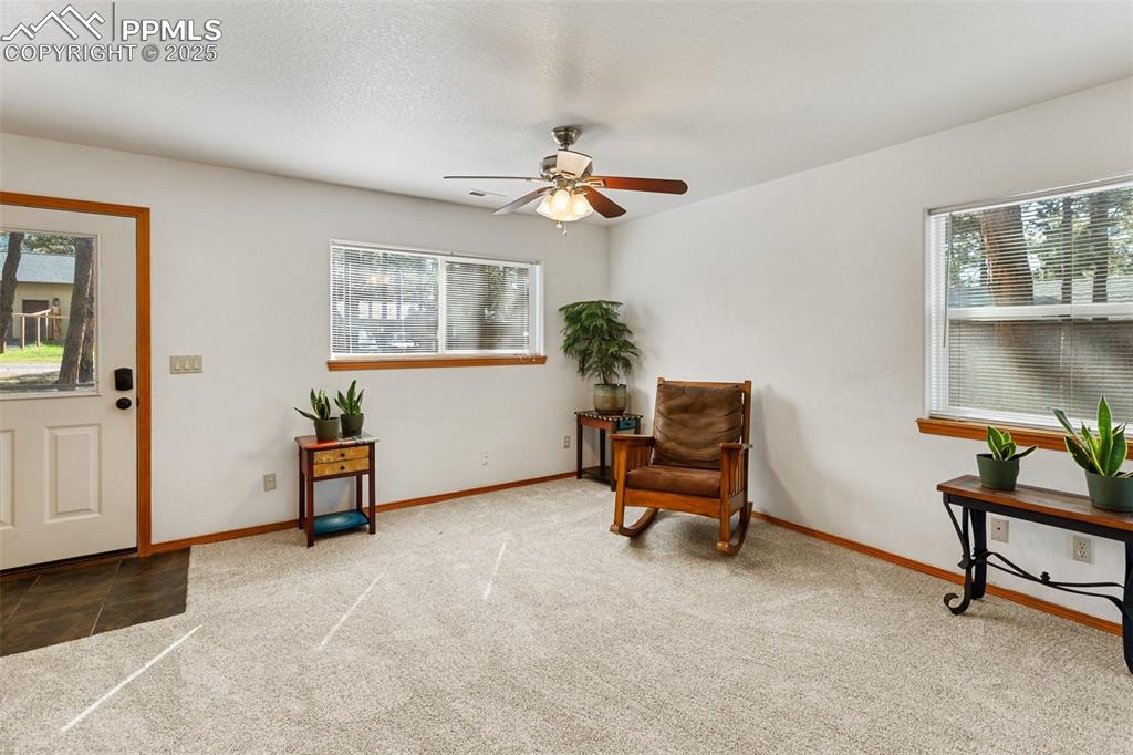 Image 25 of 30: Sitting room with plenty of natural light, carpet, a ceiling fan, and a tex