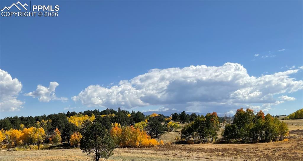 Image 31 of 34: Fall Color!