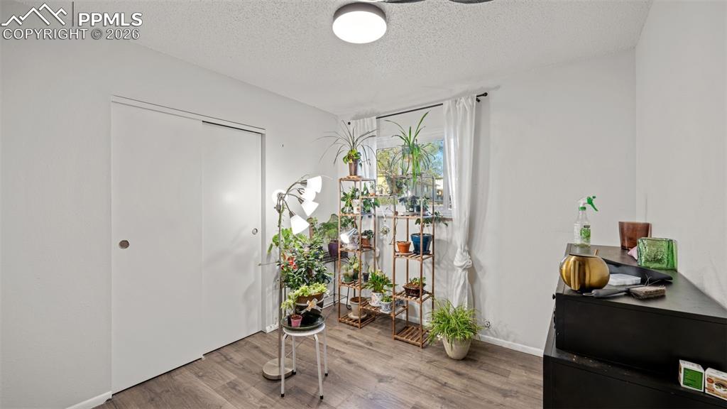 Image 11 of 23: Foyer entrance featuring a textured ceiling and wood finished floors