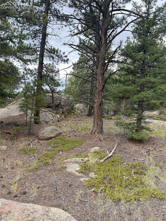 Image 4 of 10: Other