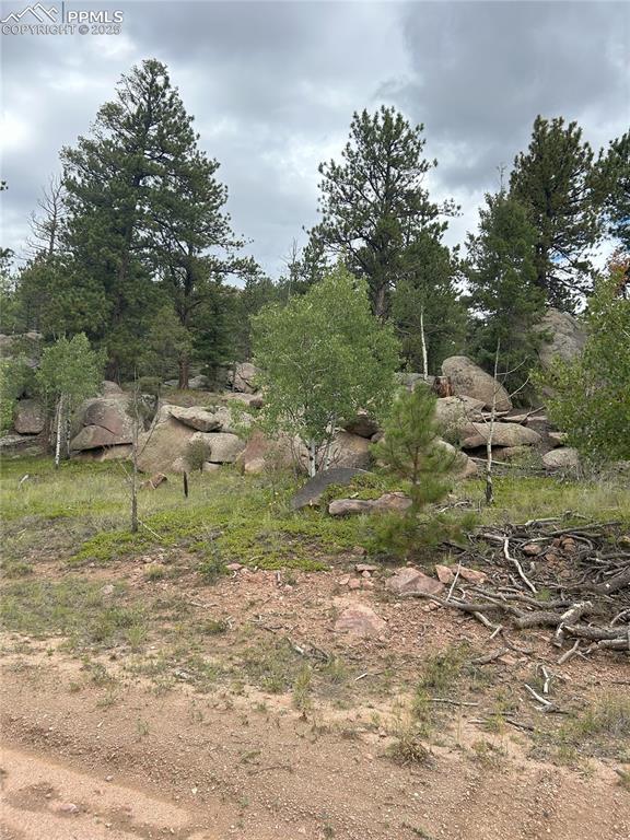 Image 6 of 10: Other