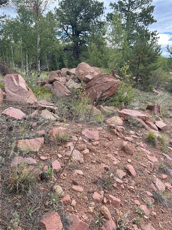 Image 9 of 10: Other