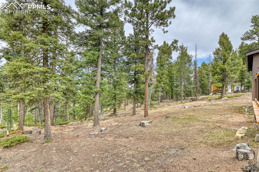 Image 27 of 48: View of yard