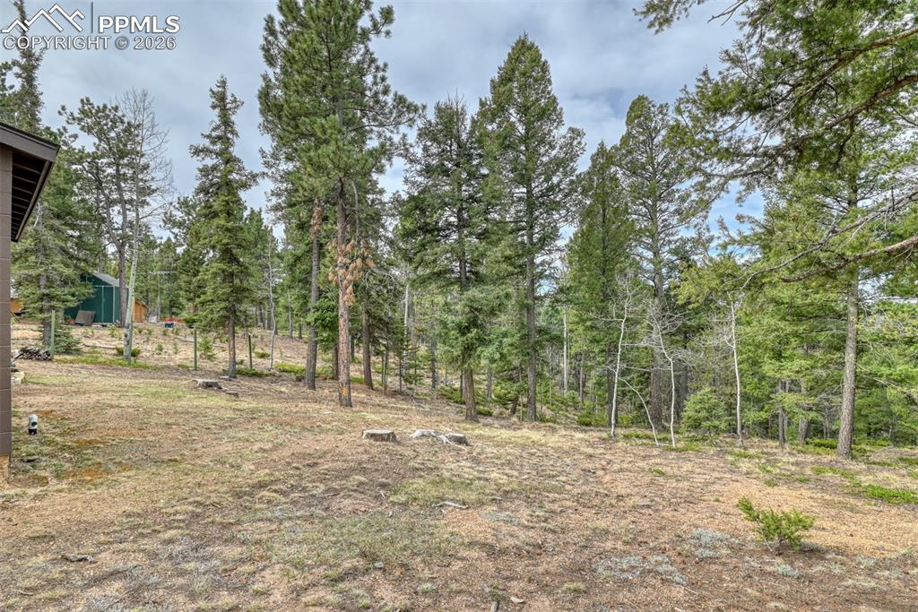 Image 30 of 48: View of yard