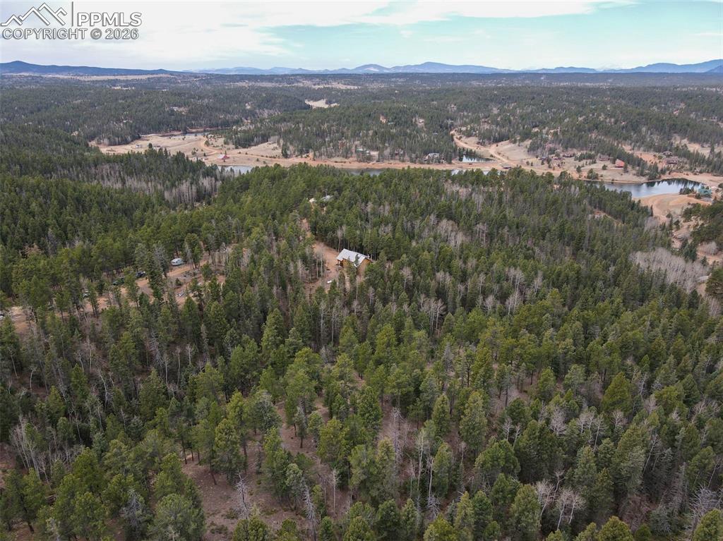Image 40 of 48: Drone / aerial view of a forest and a water and mountain view