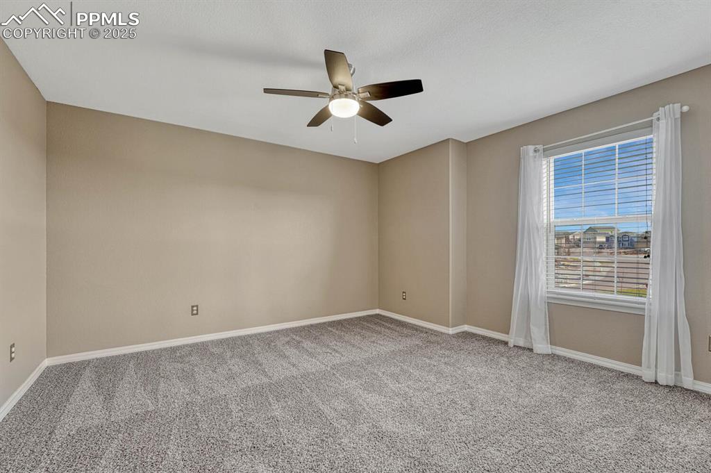 Image 20 of 50: Other