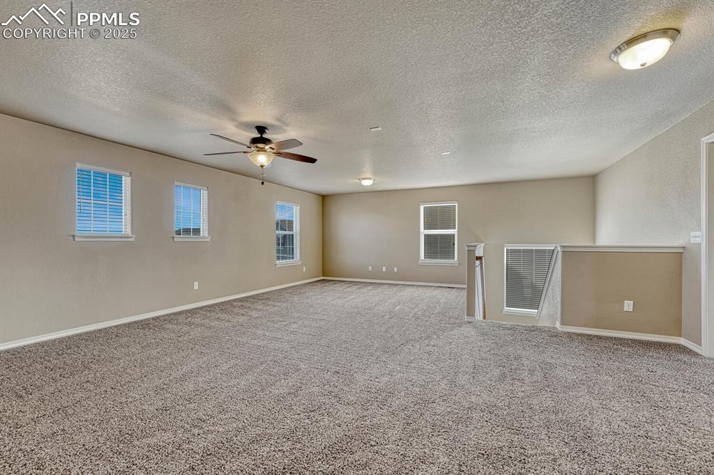 Image 44 of 50: Other