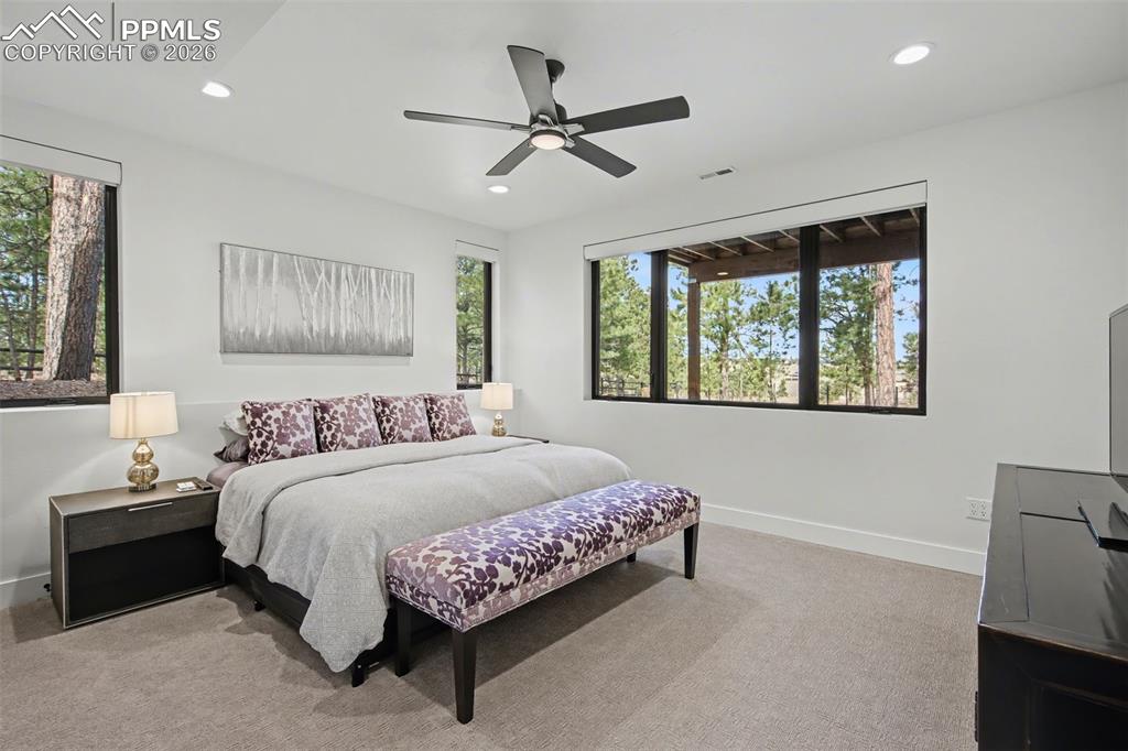 Image 37 of 50: No Description Available