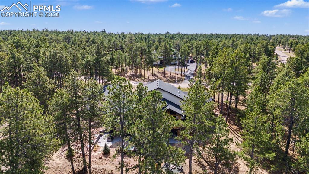 Image 48 of 50: No Description Available