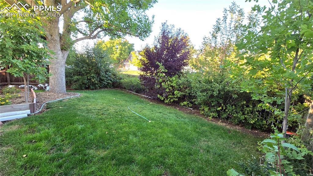 Image 39 of 42: View of grassy yard