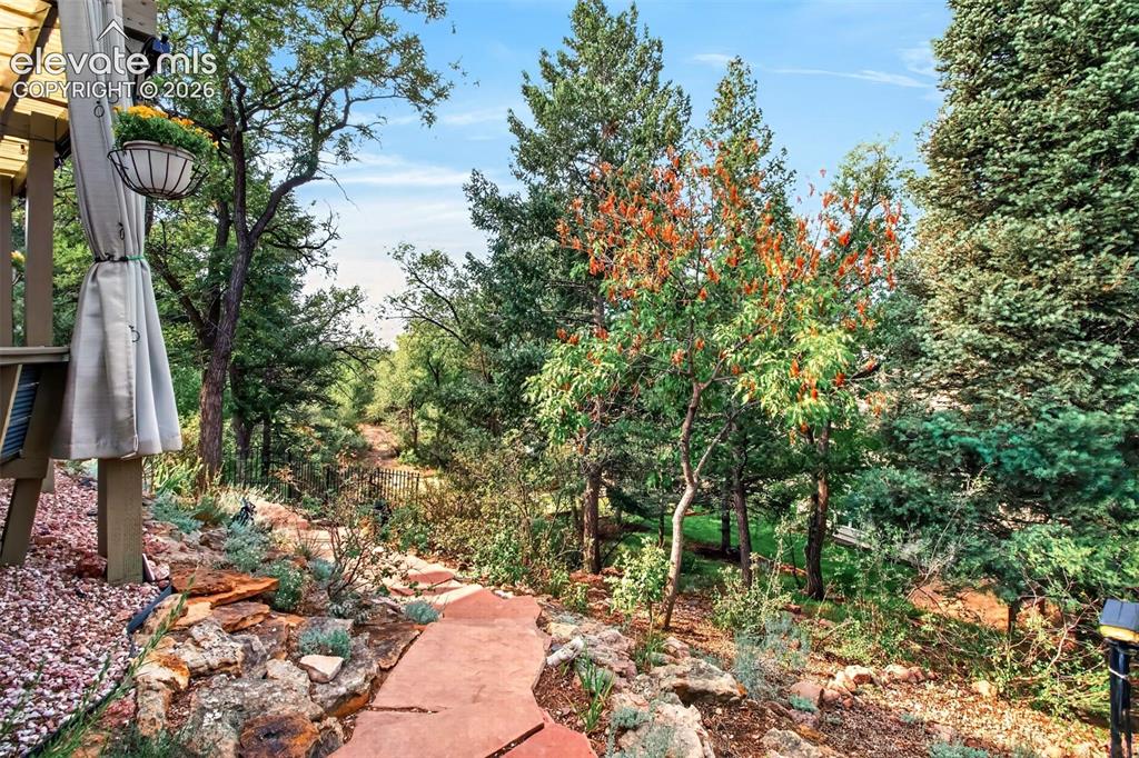 Image 47 of 49: Flagstone walkways meander through the lush foliage of the backyard